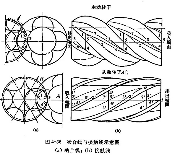 啮合线与接触线.webp.jpg