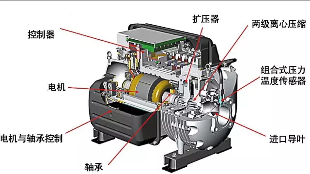 二级结构.webp.jpg